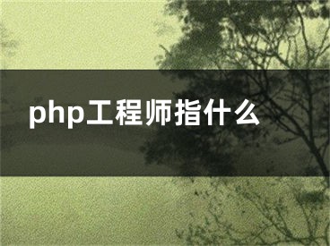 php工程师指什么