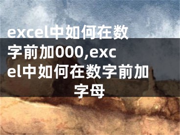 excel中如何在数字前加000,excel中如何在数字前加字母