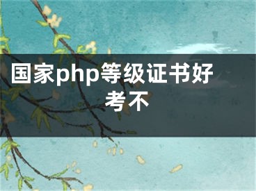 国家php等级证书好考不