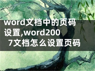 word文档中的页码设置,word2007文档怎么设置页码