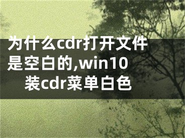 为什么cdr打开文件是空白的,win10装cdr菜单白色