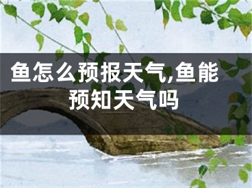 鱼怎么预报天气,鱼能预知天气吗