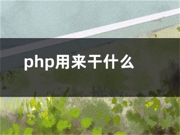 php用来干什么