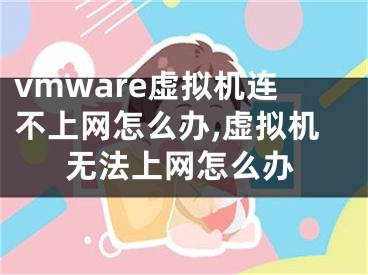 vmware虚拟机连不上网怎么办,虚拟机无法上网怎么办