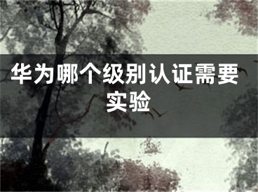 华为哪个级别认证需要实验
