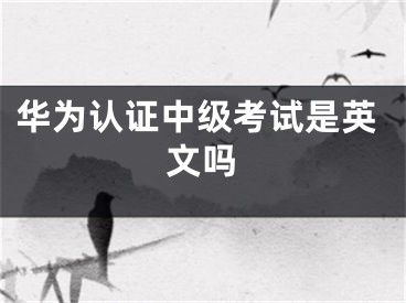 华为认证中级考试是英文吗