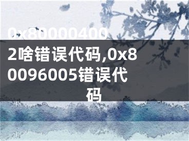 0x800004002啥错误代码,0x80096005错误代码