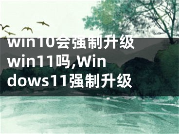 win10会强制升级win11吗,Windows11强制升级