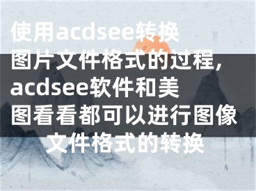 使用acdsee转换图片文件格式的过程,acdsee软件和美图看看都可以进行图像文件格式的转换