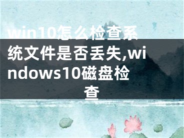 win10怎么检查系统文件是否丢失,windows10磁盘检查