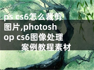 ps cs6怎么裁剪图片,photoshop cs6图像处理案例教程素材